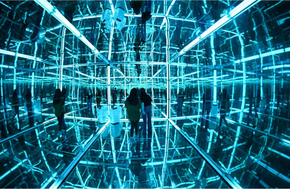 Votează proiectul preferat